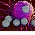 В России создают тест на определение Т-клеточного иммунитета к коронавирусу