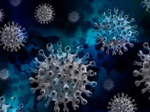 Последние данные о смертности от коронавируса ужаснули ученых