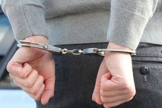Задержаны 3 подозреваемых в убийстве семьи на даче в Волоколамске