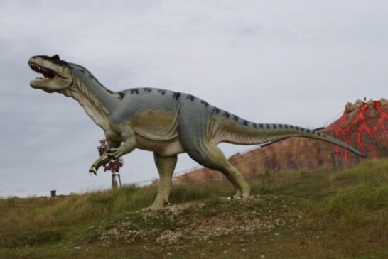 В Африке до сих пор верят в существование динозавров у реки Конго