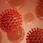 Открыта способность коронавируса встраиваться в хромосомы человека