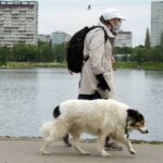 Эксперт заявила об угрозе лишения россиян пенсий из-за новой инициативы