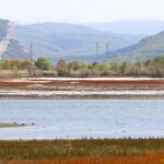Экологическая катастрофа: Откачают последние озера, чтобы спасти засыхающий Крым