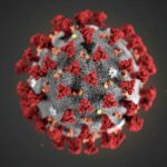 Ученые обнаружили неожиданный позитивный эффект коронавируса