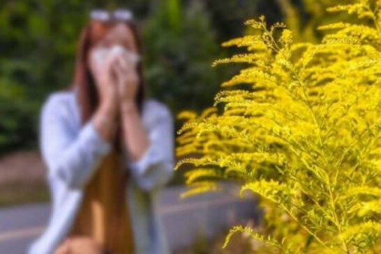 Вдыхание пыльцы связано с обострением боли внизу живота