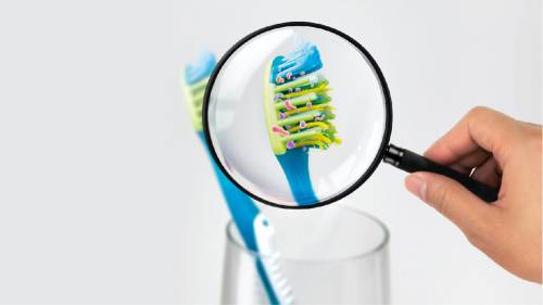 С унитаза на зубную щетку? Ученые разобрались с бактериями в санузлах