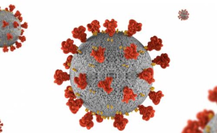 Ученые предположили, что коронавирус может стать хроническим заболеванием