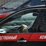 СМИ: в Москве сиделка убила 82-летнюю пенсионерку