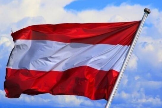 МИД Австрии призвал ЕС к сдержанности в вопросе антироссийских санкций