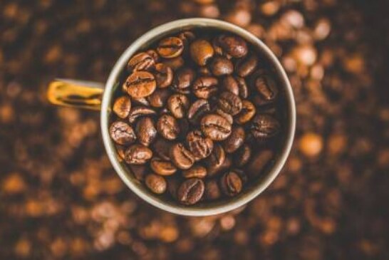Кофеин может изменять структуру коры головного мозга