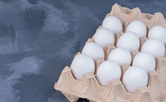 Опасно ли есть яйца и богатую холестерином пищу?