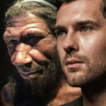 Генетик объяснил, чем важен «неандертальский» ген при борьбе с COVID-19