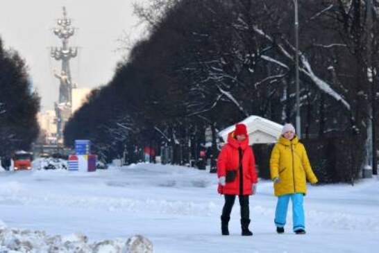 Москвичей предупредили о приближении арктических холодов