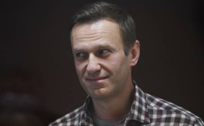Толстой объяснил, почему Навальный не является политиком