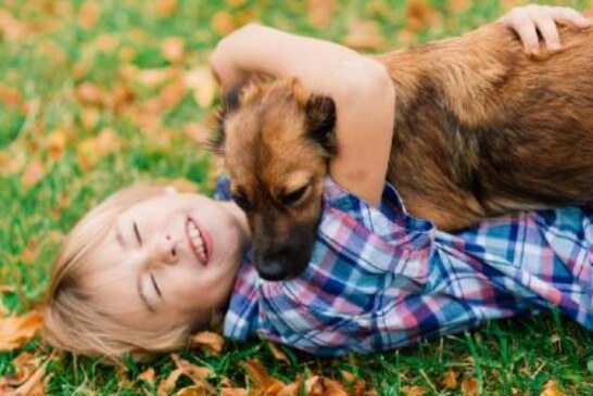 Психиатр Марина Гуркина рассказала о канистерапии с участием своей собаки Сильвы