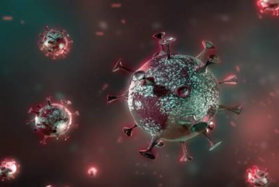 Пандемия унесла более 20,5 миллиона лет жизней людей в 81 стране — исследование