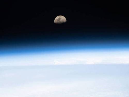 Миллиардер объявил конкурс на бесплатный полет вокруг Луны