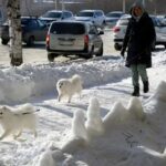 Погода в Воронеже на 14 дней: в городе поселится зима с трескучими морозами