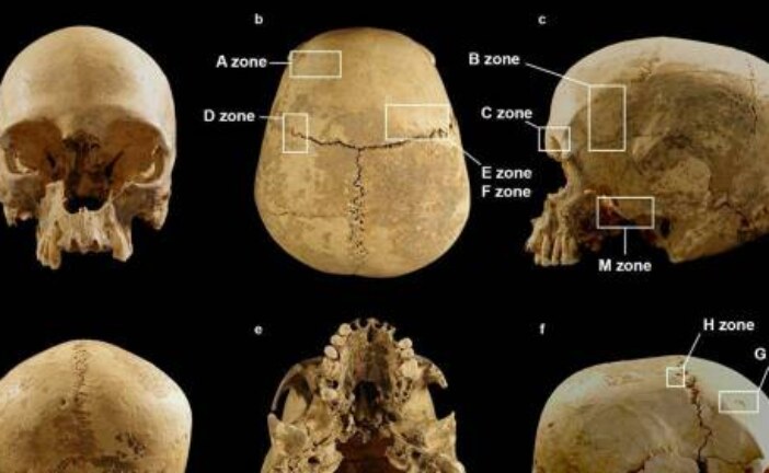 Археологи раскрыли тайну черепа из итальянской пещеры