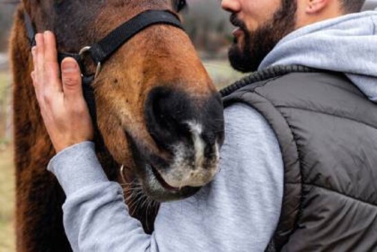Петербургские хирурги полностью воссоздали пациенту нос, откушенный лошадью