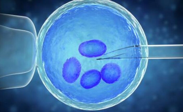Ученые создали эмбрион из клеток кожи человека. Это настоящий зародыш?