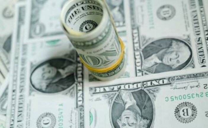 Лавров считает уход от доллара способом снизить риск санкций