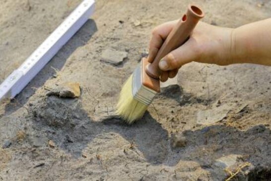 Рабочие случайно обнаружили «секретный» туннель возрастом 900 лет