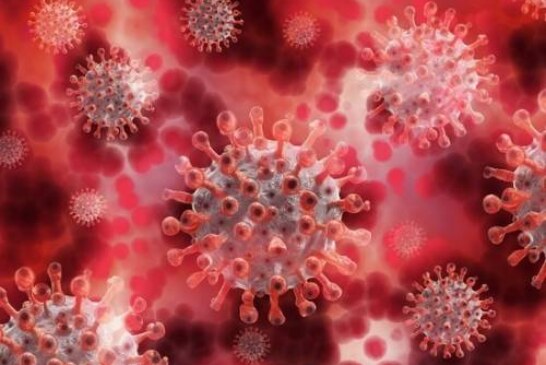 Ученые поняли, как коронавирус распространяется через рот