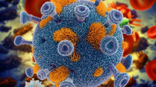 Ученые выяснили, что вирусные инфекции действуют подобно старению