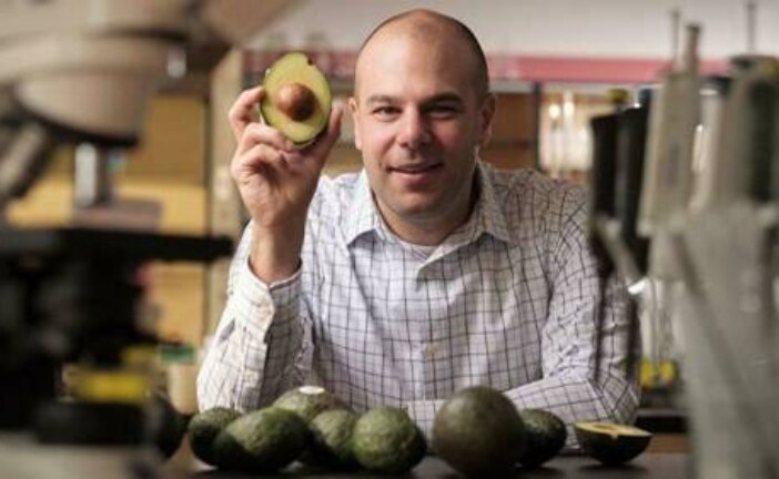 Ученые обнаружили антираковое свойство авокадо