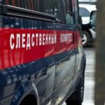 СК проверит данные о мошенничестве в отношении дочери летчика Чкалова
