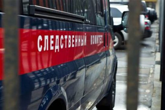 СК проверит данные о мошенничестве в отношении дочери летчика Чкалова