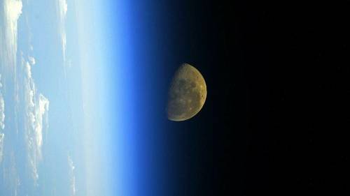 «Роскосмос» создаст корабль для отправки животных к Луне