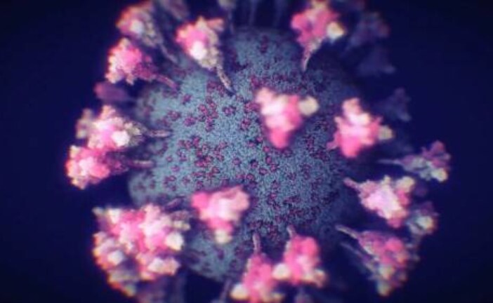 Ученые объяснили, почему коронавирус быстро размножается в организме