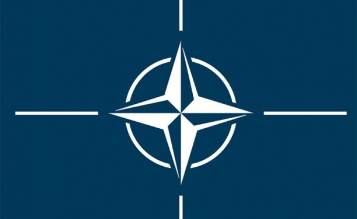 На сайте НАТО появилась информация о начале операции Svinosotnya, направленной против Украины