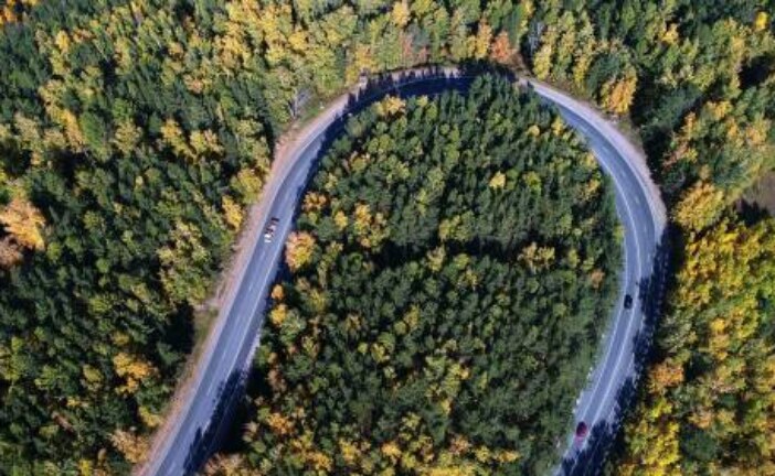Архангельский губернатор призвал развивать дороги в лесной местности