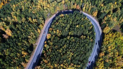 Архангельский губернатор призвал развивать дороги в лесной местности