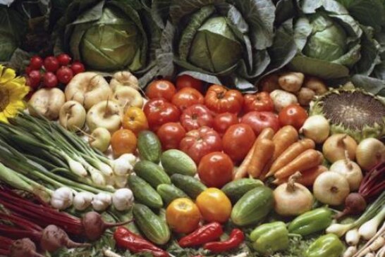 Осенью Россия может недополучить треть урожая овощей и фруктов