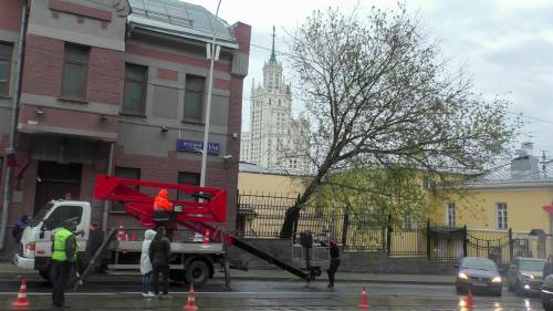 Власти рассказали о последствиях ураганного ветра в Москве