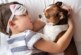 Присутствие домашних питомцев в постели значительно улучшает качество сна ребенка