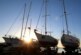 Сторожевые катера спасли яхты, терпящие бедствие в районе Сочи
