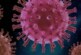 Новый опасный гибридный вариант коронавируса обнаружили во Вьетнаме