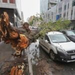 Ураганный ветер повалил десятки деревьев в Москве, есть пострадавшие