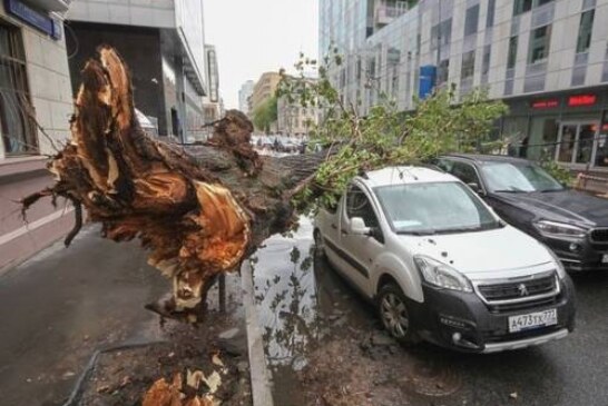 Ураганный ветер повалил десятки деревьев в Москве, есть пострадавшие