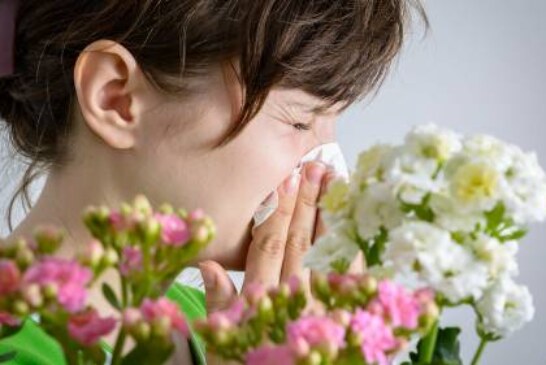 Пыльца и изменение климата: почему сезонная аллергия начинается раньше