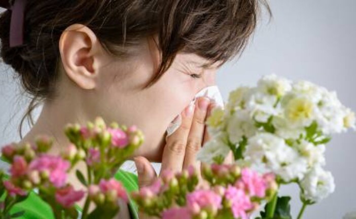 Пыльца и изменение климата: почему сезонная аллергия начинается раньше