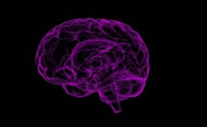 Головной мозг при болезни Альцгеймера могут повреждать частицы металлов
