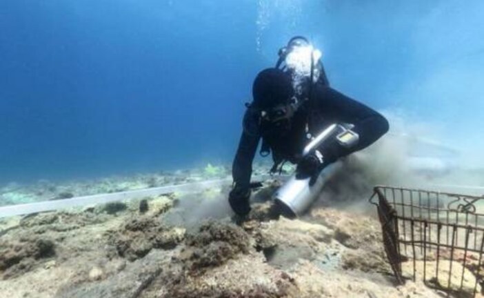 Археолог обнаружил 6000-летнее островное поселение у хорватского побережья