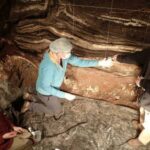 Ученые установили, кто первым заселил Денисову пещеру