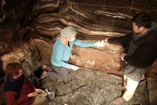 Ученые установили, кто первым заселил Денисову пещеру